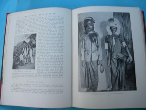 photo of antique 1903 natural history book set w/color litho plates and 2000 illustrations #3