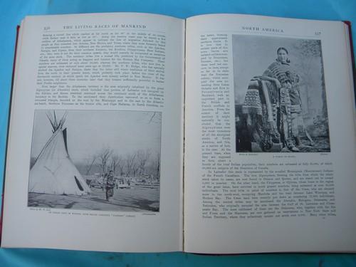 photo of antique 1903 natural history book set w/color litho plates and 2000 illustrations #6