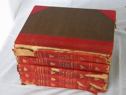 photo of antique 1903 natural history book set w/color litho plates and 2000 illustrations #7