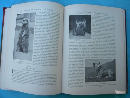 photo of antique 1903 natural history book set w/color litho plates and 2000 illustrations #11