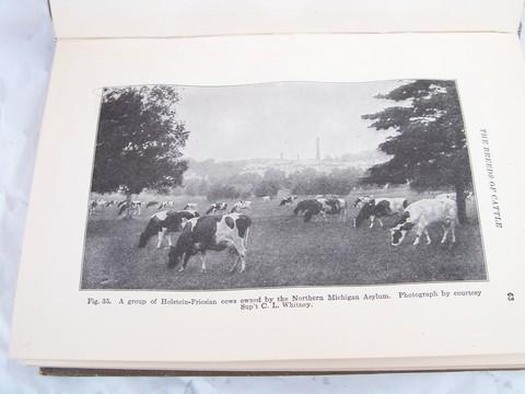 photo of antique 1912 farm book, raising cows, horses, sheep & pigs w/livestock illustrations #3