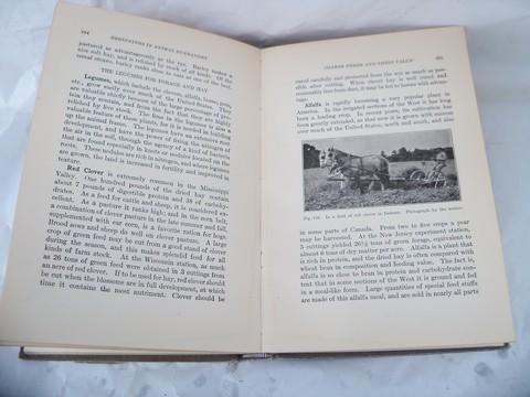 photo of antique 1912 farm book, raising cows, horses, sheep & pigs w/livestock illustrations #6