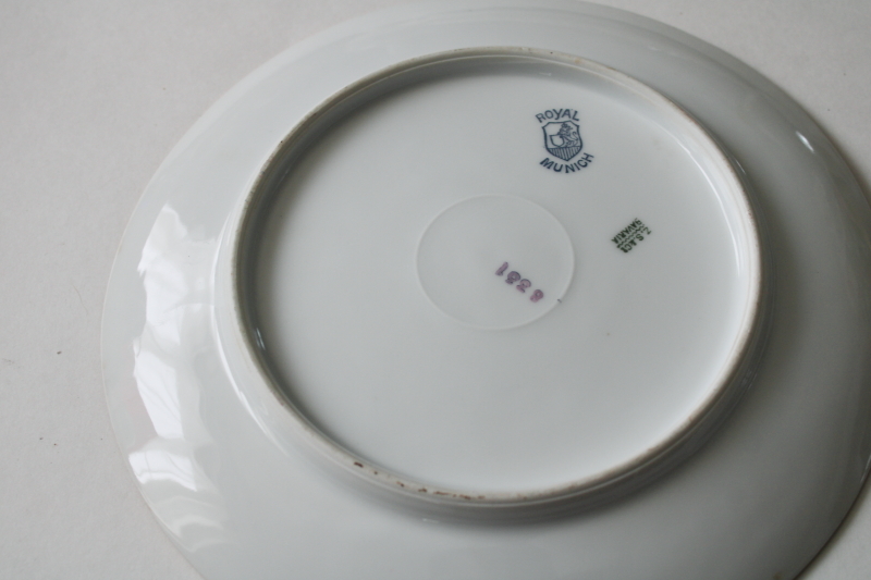 photo of antique Bavaria porcelain plate w/ roses, hand painted wood grained border Royal Munich china #5