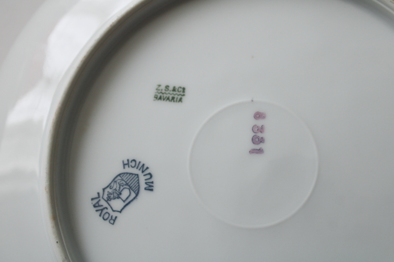 photo of antique Bavaria porcelain plate w/ roses, hand painted wood grained border Royal Munich china #6