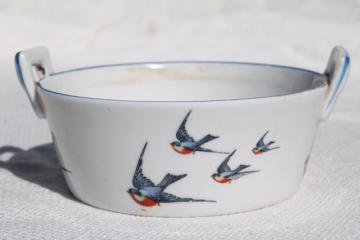 catalog photo of antique Buffalo china w/ bluebirds, vintage blue bird bucket butter dish tub