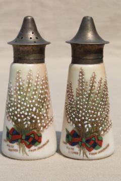 catalog photo of antique Carlton ware china shakers, Scots tartan & sprig of lucky white heather