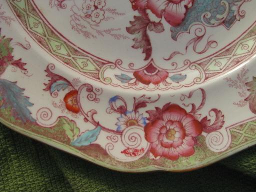 photo of antique Cauldon china dinner plates, Chinese peonies or India tree floral #4