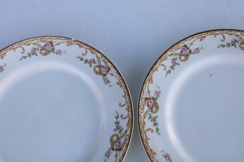 photo of antique Cleveland China rose & daisy pattern plates, early 1900s vintage dinnerware #5