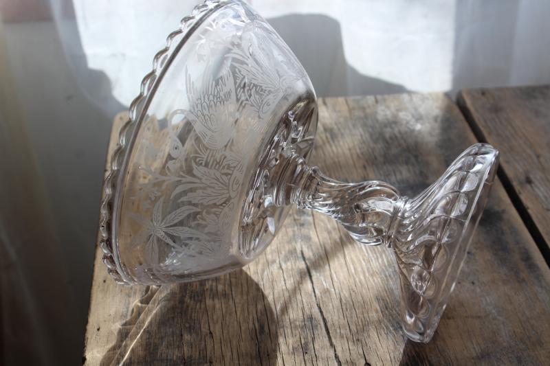 photo of antique EAPG compote, feeding swan etched or crystal print pattern pressed glass #4