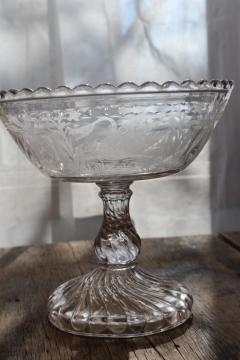 catalog photo of antique EAPG compote, feeding swan etched or crystal print pattern pressed glass