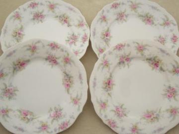 catalog photo of antique German china plates, vintage pink roses dessert plates set