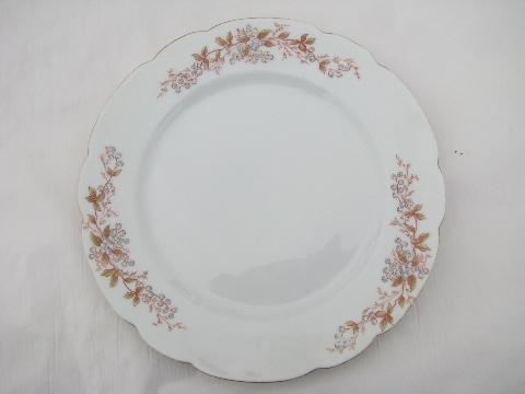 photo of antique German transferware china plates, floral pattern in muted colors #2