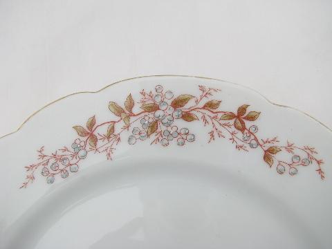 photo of antique German transferware china plates, floral pattern in muted colors #3