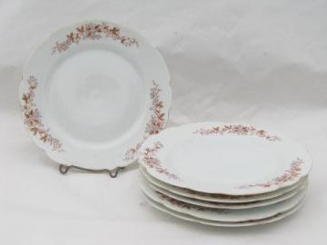 catalog photo of antique German transferware china plates, floral pattern in muted colors