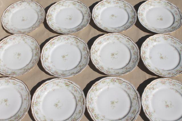 photo of antique Haviland Limoges china dinner or luncheon plates for 12 pink daisy marguerite floral #1