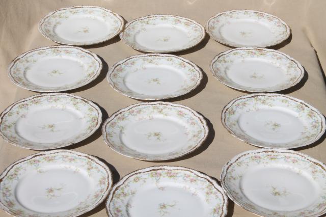 photo of antique Haviland Limoges china dinner or luncheon plates for 12 pink daisy marguerite floral #3