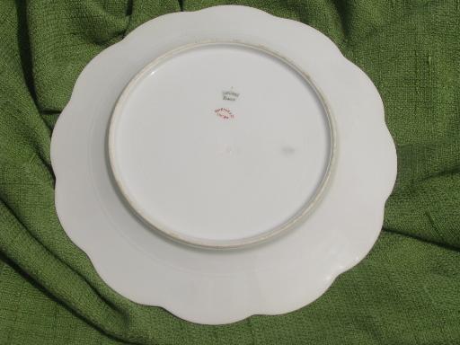 photo of antique Haviland Limoges porcelain plate, scalloped border, large roses #2