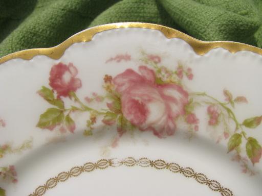 photo of antique Haviland Limoges porcelain plate, scalloped border, large roses #3