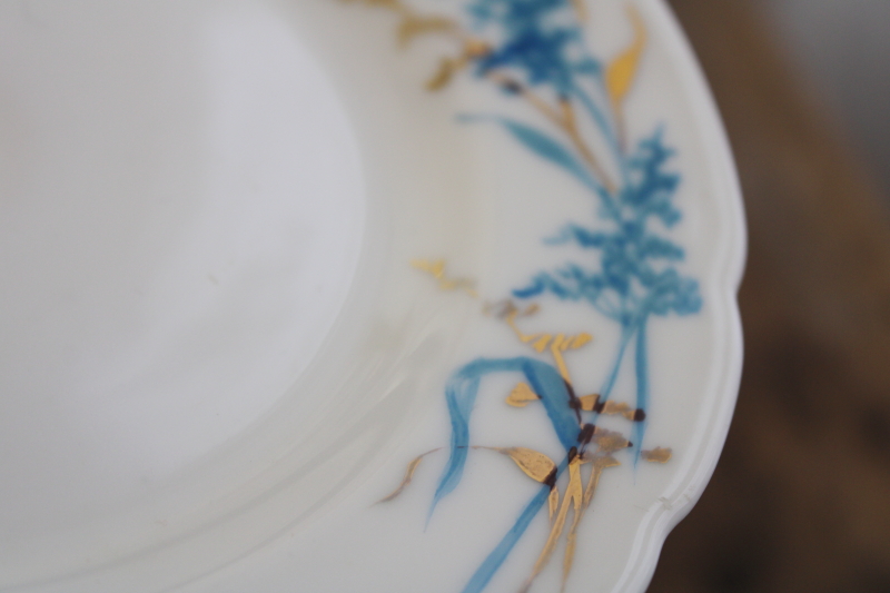 photo of antique Haviland china plates & tea cups w/ deep bowl saucers, art nouveau style grasses flowers aqua & gold #11