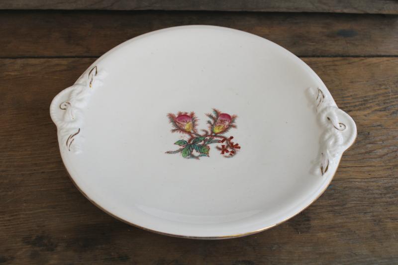 photo of antique Haviland moss rose pattern tray or serving plate, embossed rope knot shape #4