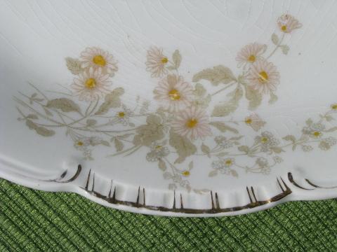 photo of antique Henry Alcock - England china platters, marguerite daisy floral #3