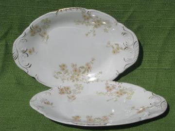 catalog photo of antique Henry Alcock - England china platters, marguerite daisy floral