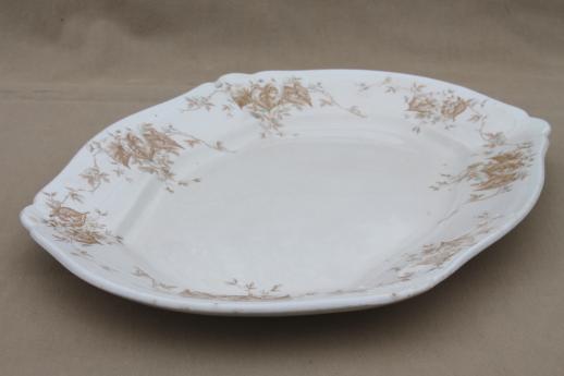 photo of antique Johnson Bros. china platter, brown leaves & flowers in palest blue #1