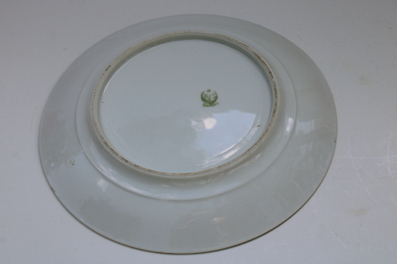 photo of antique RS Germany hand painted china plate, art nouveau floral green poppy  #4