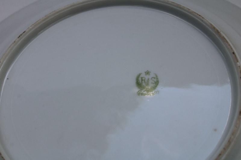 photo of antique RS Germany hand painted china plate, art nouveau floral green poppy  #5