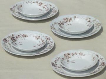 catalog photo of antique Staffordshire china, brown ivy floral transferware plates & bowls