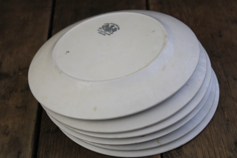photo of antique Tea Leaf ironstone china plates, nice old Royal Arms marks, 1890s vintage Alfred Meakin #5