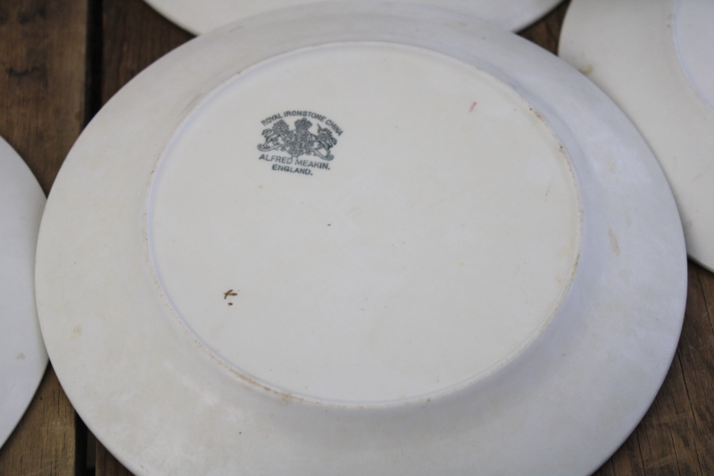 photo of antique Tea Leaf ironstone china plates, nice old Royal Arms marks, 1890s vintage Alfred Meakin #6