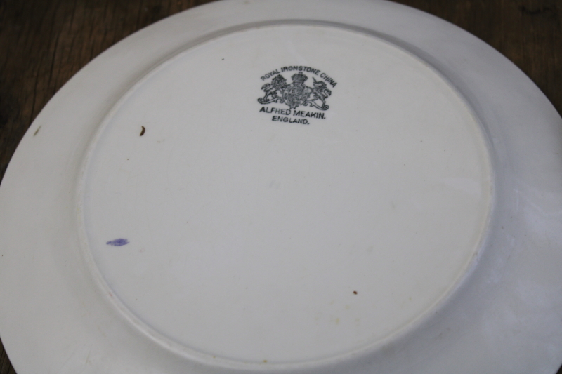photo of antique Tea Leaf ironstone china plates, nice old Royal Arms marks, 1890s vintage Alfred Meakin #7