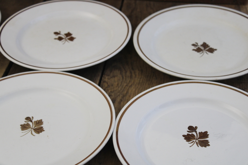 photo of antique Tea Leaf ironstone china plates, nice old Royal Arms marks, 1890s vintage Alfred Meakin #9
