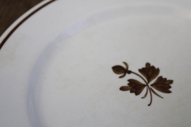 photo of antique Tea Leaf ironstone china plates, nice old Royal Arms marks, 1890s vintage Alfred Meakin #13