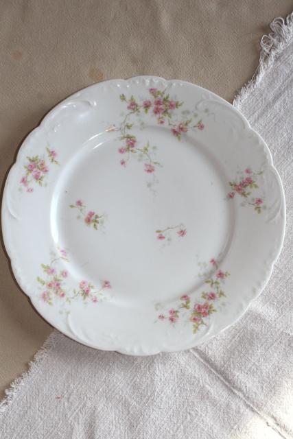 photo of antique Theo Haviland France china dinner plates, embossed shape, pink rose spray #3