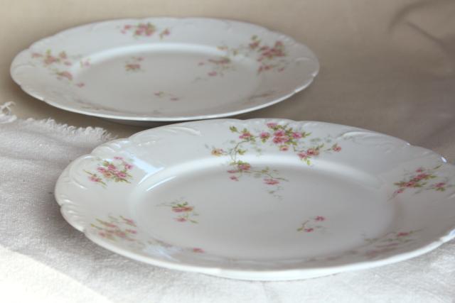 photo of antique Theo Haviland France china dinner plates, embossed shape, pink rose spray #4