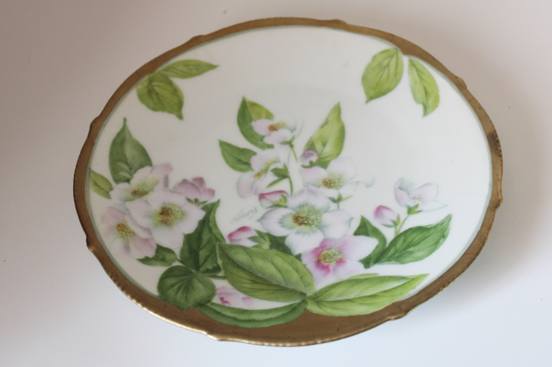 photo of antique Tirschenreuth Bavaria porcelain plate, factory hand painted floral, signed #1