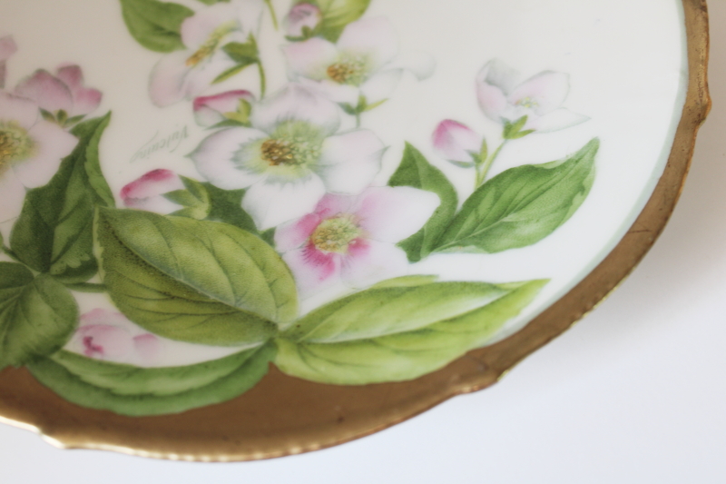 photo of antique Tirschenreuth Bavaria porcelain plate, factory hand painted floral, signed #2