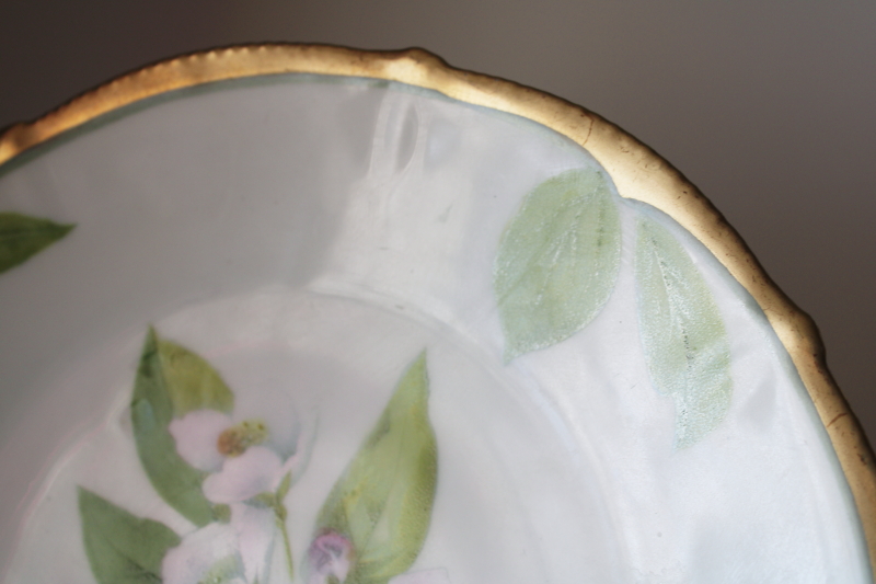 photo of antique Tirschenreuth Bavaria porcelain plate, factory hand painted floral, signed #3