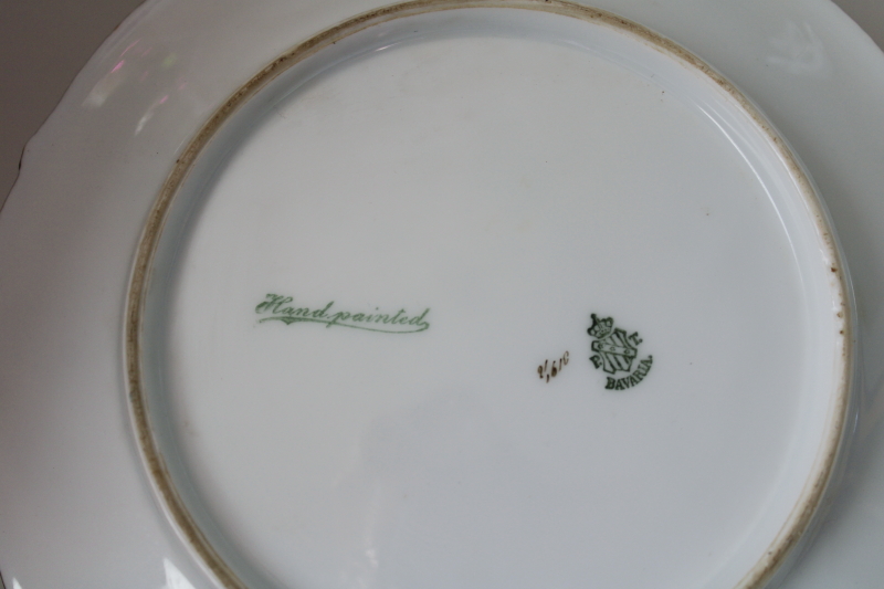 photo of antique Tirschenreuth Bavaria porcelain plate, factory hand painted floral, signed #4