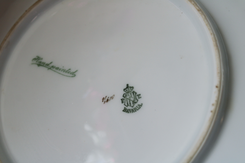 photo of antique Tirschenreuth Bavaria porcelain plate, factory hand painted floral, signed #5