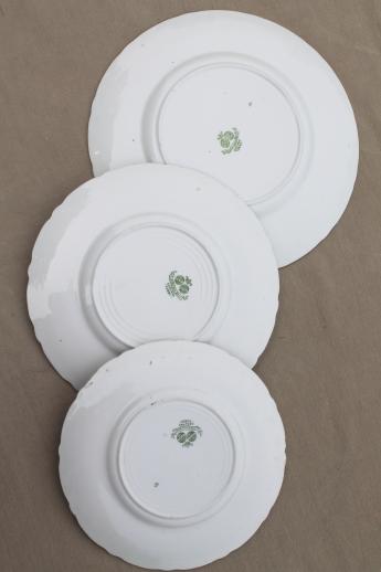 photo of antique Torby green transferware china plates, EnglishStaffordshire circa 1901-10 #3