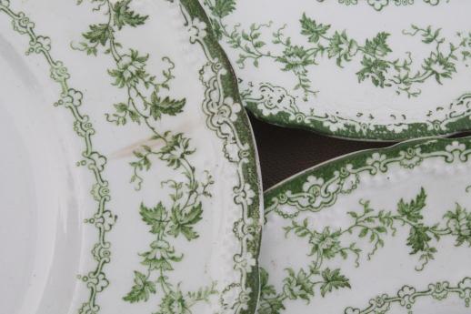 photo of antique Torby green transferware china plates, EnglishStaffordshire circa 1901-10 #10