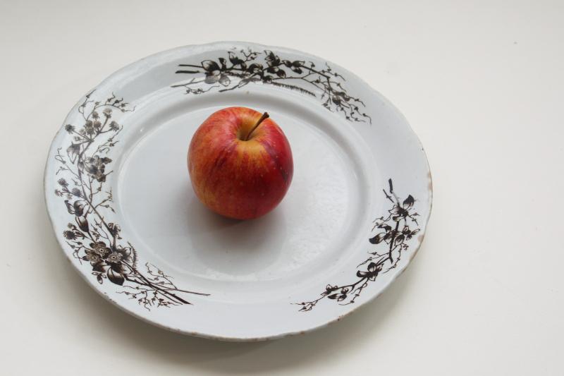 photo of antique Turner's English ironstone china plate, black-brown transferware aesthetic floral #1