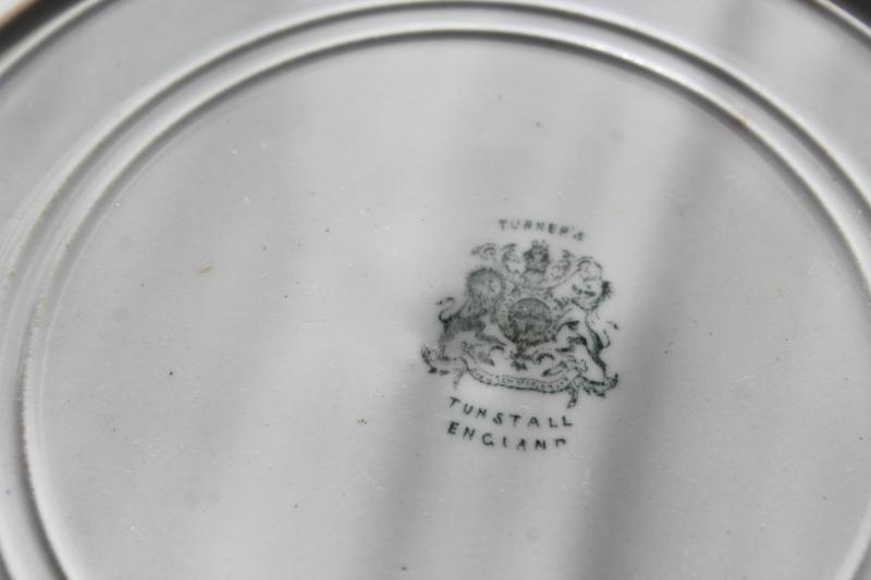 photo of antique Turner's English ironstone china plate, black-brown transferware aesthetic floral #5