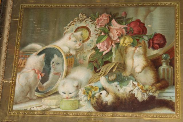 photo of antique Victorian litho print The Five Senses fluffy kittens w/ flowers dated 1905 #4