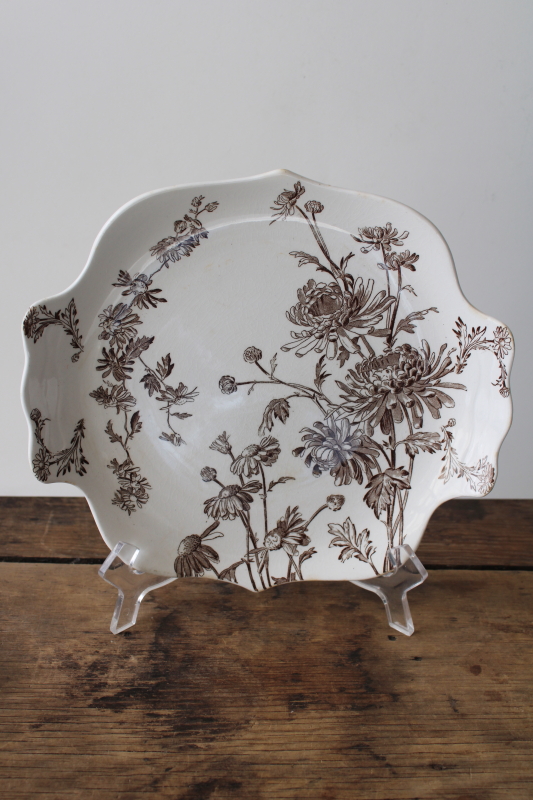 photo of antique Victorian transferware china plate brown Chrysanthemum George Jones England  #1