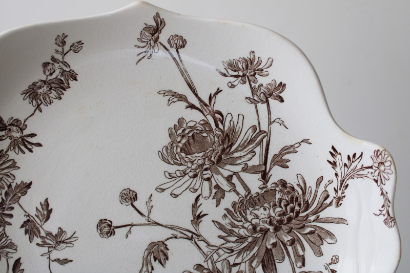 photo of antique Victorian transferware china plate brown Chrysanthemum George Jones England  #3