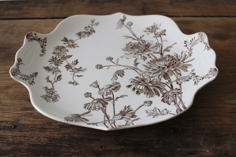 photo of antique Victorian transferware china plate brown Chrysanthemum George Jones England  #4